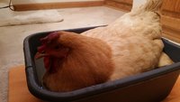 20171025_165841.jpg