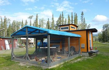 Chicken Coops And Gardens Arou