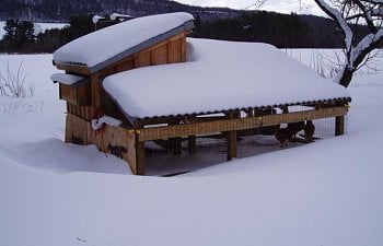 30865_chicken_coop_winter_008.jpg