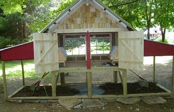 Windows Doors And Ramps Coop Construction Step 6