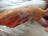 IMG_20171028_123339018.jpg