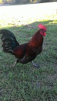 P_20171028_161931.jpg