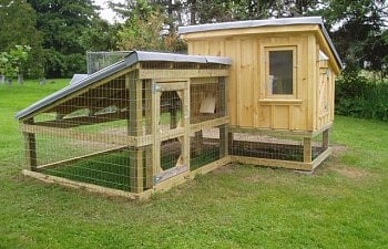 Monk The Chicken Coop