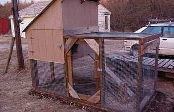 Chicken Coop 7