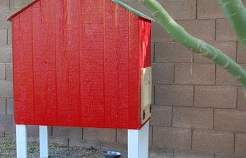 Small Red Coop