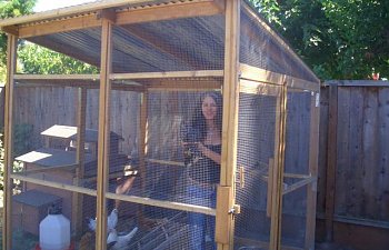 Me And My Chicken Coop