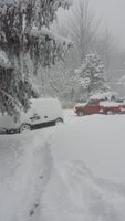 Resized_20160118_075337-1.jpeg