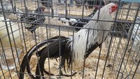 20171028_154130.jpg