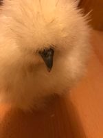 21165B1D-3A7C-46FE-BB4E-EAC35F3341E0.jpeg
