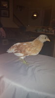20171030_190745.jpg
