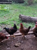 20171030_180328.jpg