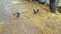 20171030_085228.jpg