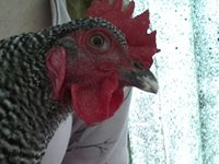 20171031_084018-1.jpg