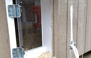 popdoor.jpg