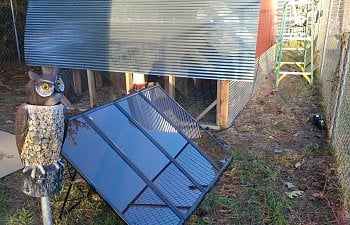 Solar powered trampoline coop