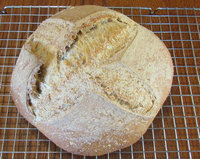 Sourdough Honey Spelt bread.jpg