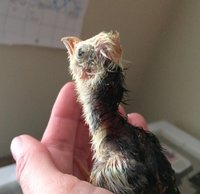 94DF0670-E523-407E-93AA-3C86FD1CDC0F.jpeg