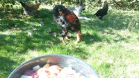 IMG_20171006_142459859.jpg