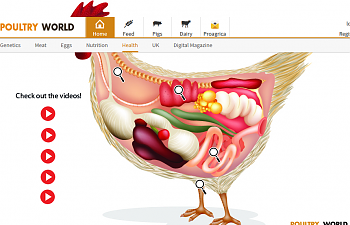 Screenshot-2017-11-1 PoultryWorld - Health Tool.png