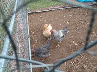 20171101_135816.jpg