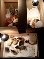 20160924_014739.jpg