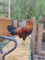20171101_131737.jpg