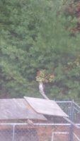 20171101_091839.jpg
