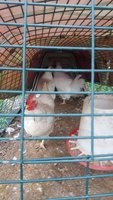 20171102_101207.jpg