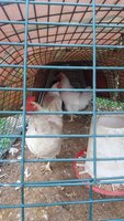 20171102_101208.jpg