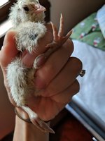 IMG_20171102_135916.jpg