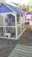 20171102_154203.jpg 20171102_154203.jpg