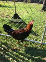IMG_0092.JPG
