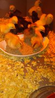 20171103_142713.jpg
