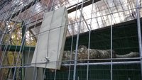 20171103_174213.jpg