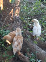 IMG_20171103_165508.jpg