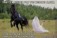Thats-A-Keeper-For-The-wedding-Album-Funny-Horse-Meme-Image.jpg