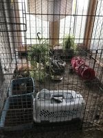 IMG_7541.jpg