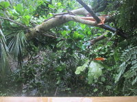 IMG_4611.JPG