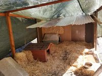 20171014_114623.jpg