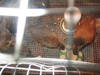 IMG_2733.JPG