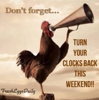 Rooster time change.jpeg