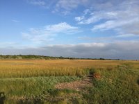 IMG_8162.JPG