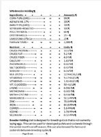 Page4.jpg