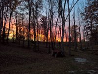 WP_20171105_17_34_50_Pro_LI.jpg