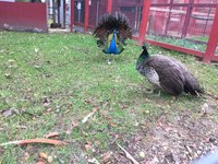 IMG_4013.JPG