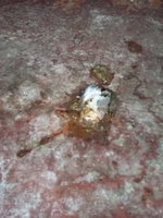 20171106_072024.jpg