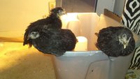 20171105_102321.jpg