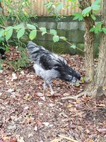 20171029_110535.jpg