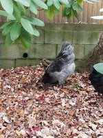 20171105_113633.jpg