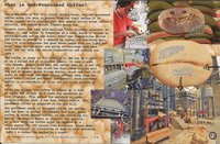 coffee processing Back.jpg